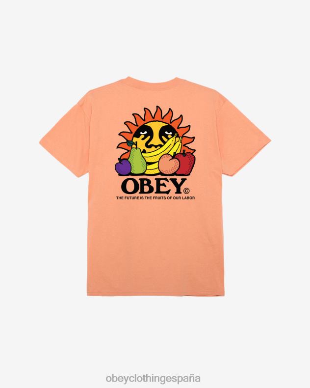 ropa OBEY El futuro son los frutos de nuestra camiseta clásica laboral. agrios hombres 0RV2P292