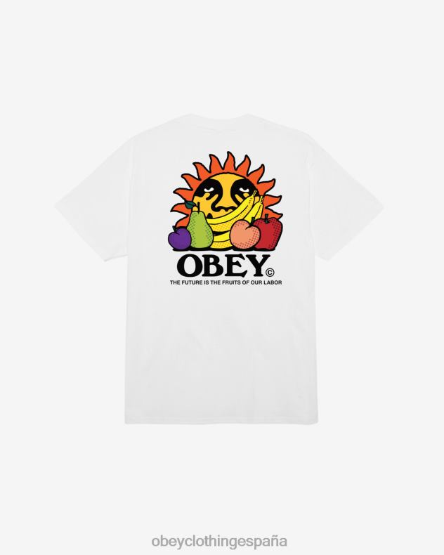 ropa OBEY El futuro son los frutos de nuestra camiseta clásica laboral. blanco hombres 0RV2P293