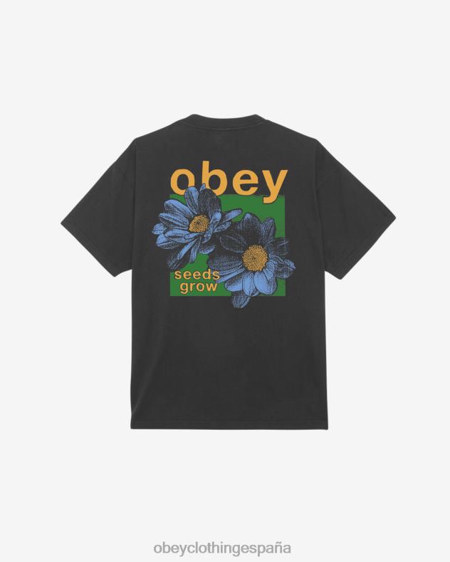 ropa OBEY Las semillas crecen camiseta pesada. negro antiguo hombres 0RV2P384