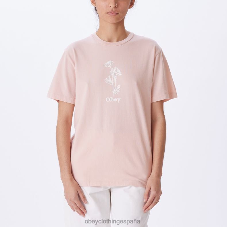 ropa OBEY camiseta de elección de tinte de pigmento de malas hierbas arcilla rosa mujer 0RV2P745
